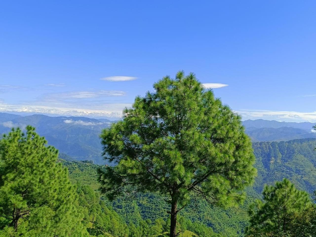Joshi Holiday Home Stay Lansdowne Ngoại thất bức ảnh